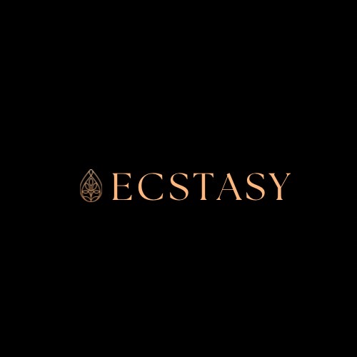 守山風俗エステ「ECSTASY」200x40バナー